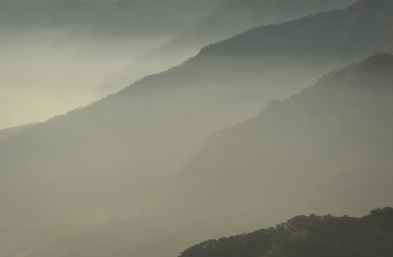 Крым, Crimea, лес, туман, Алушта Состояние перспективы фото превью