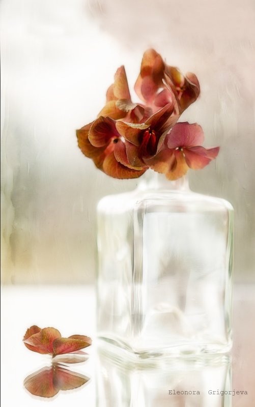 Предчувствие осени фото превью