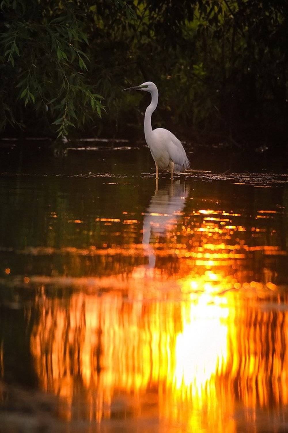 , Вячеслав Мищенко