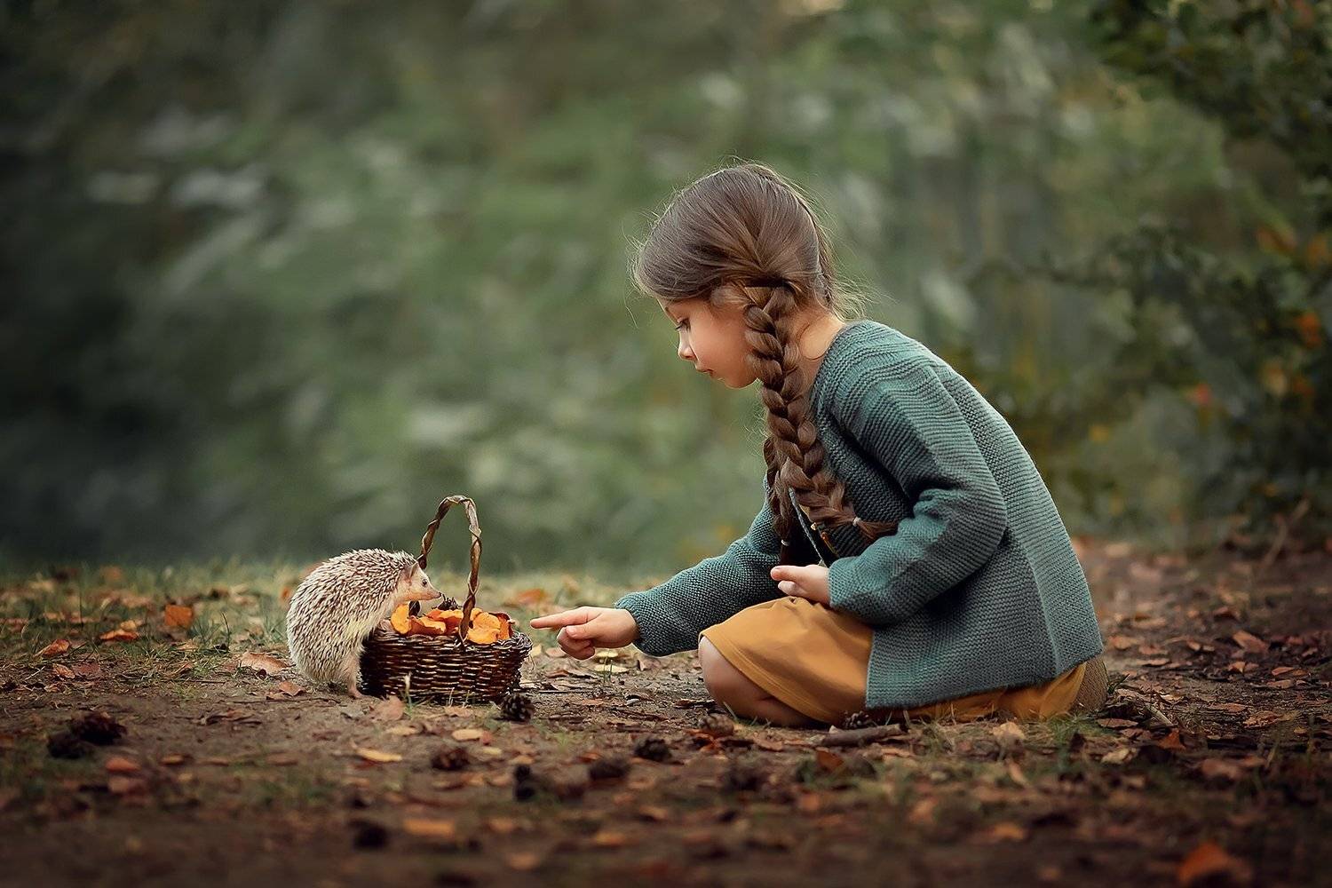 ёжик лес грибы девочка лесная история, Екатерина Белоножкина