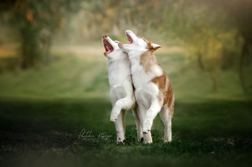 Sing a song!