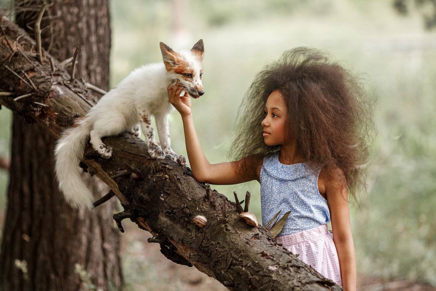 лес, Светлана Никотина