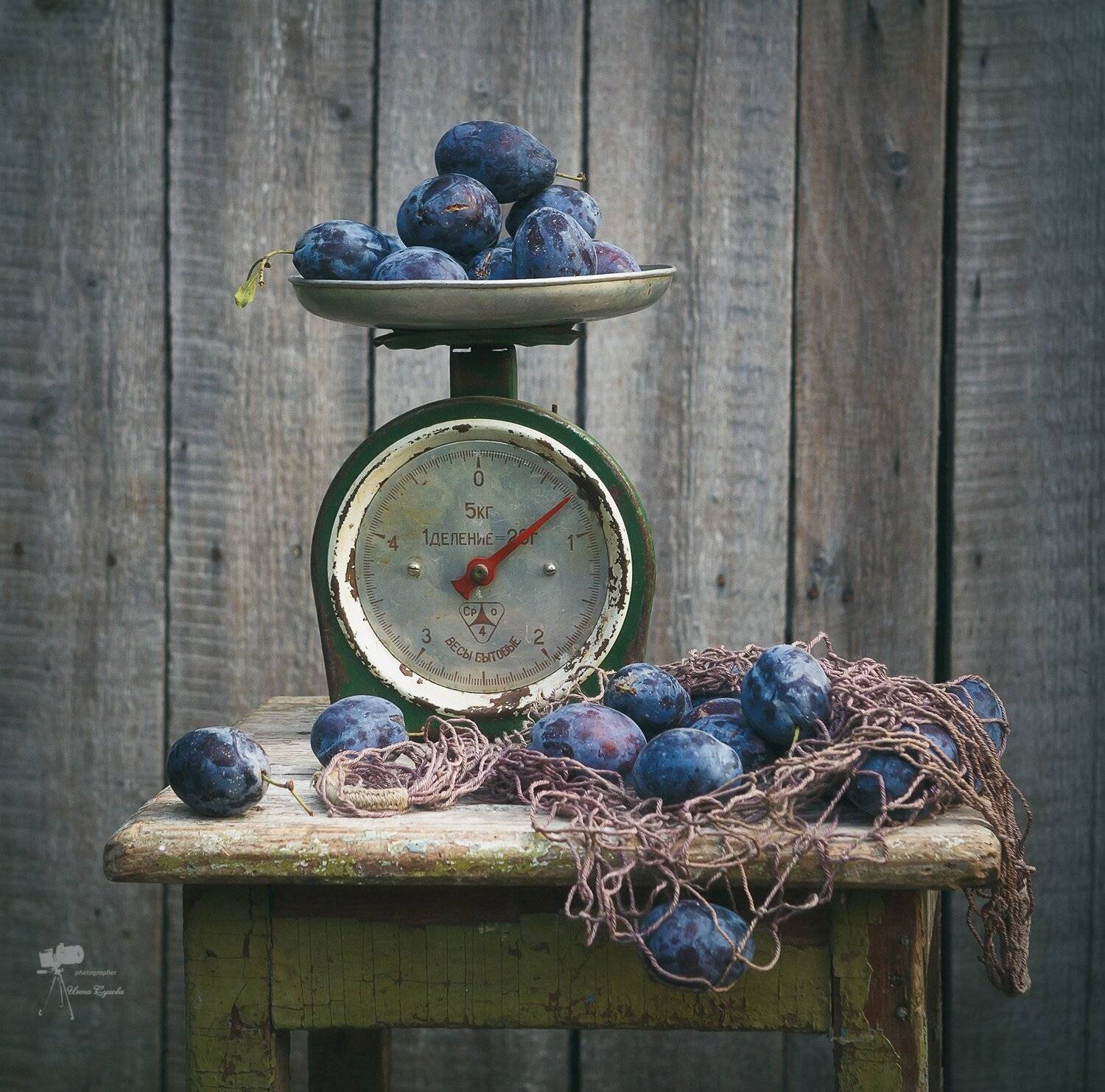 , Инна Сухова