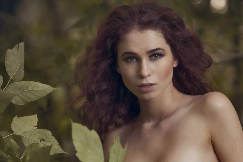 фото превью