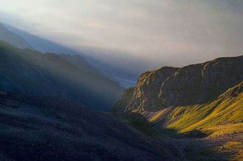 Пробуждение