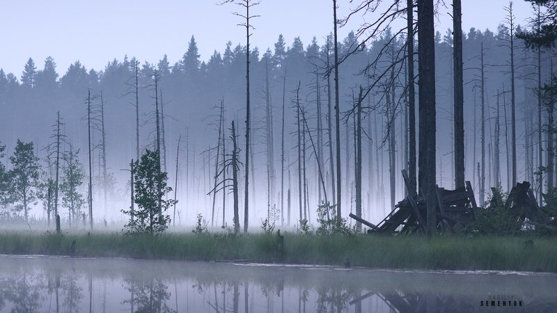 Карельская, туманная. фото превью