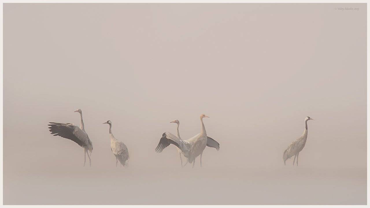 , Валерий Субачев