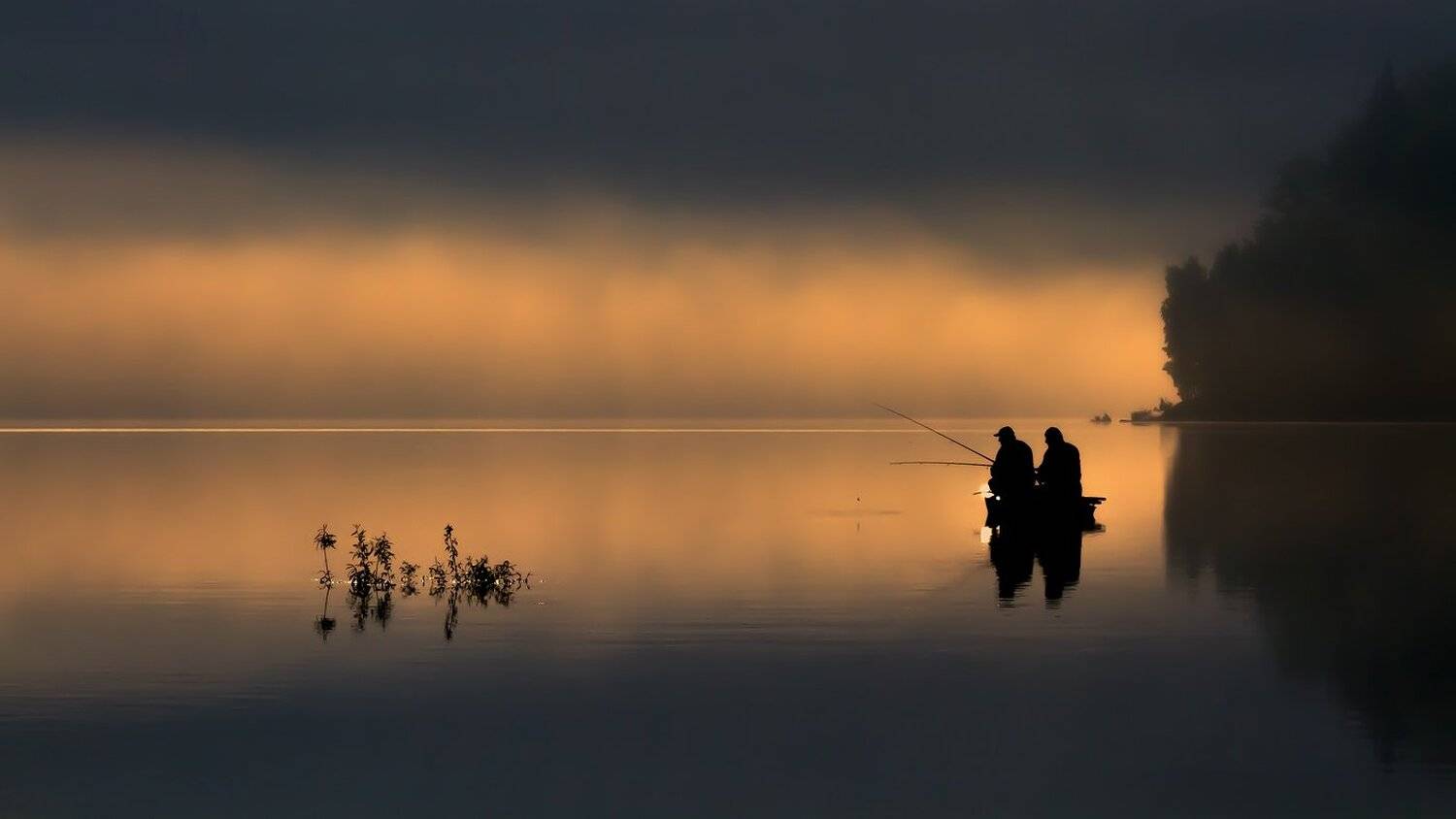 landscape,canon,mist,light,autumn,fog,lake, Iza i Darek Mitręga