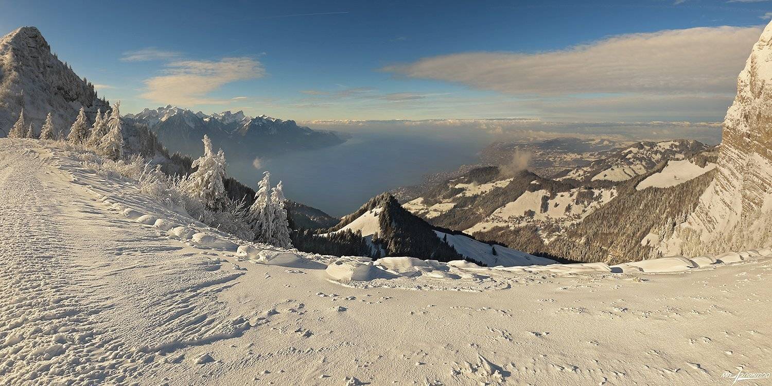 swiss, Матвеев Николай