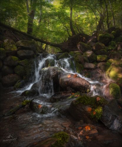 И ранней осени прохладные ручьи ...