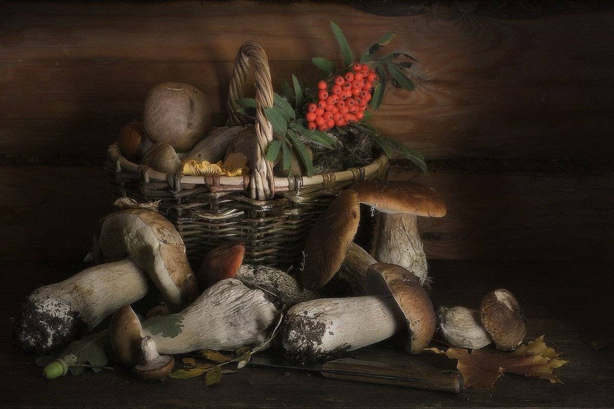 сергей алексеев, Сергей Алексеев