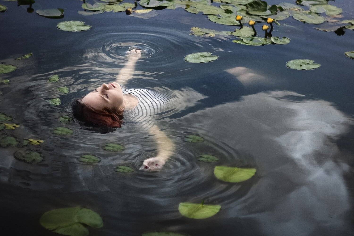 portret, Илья Александров