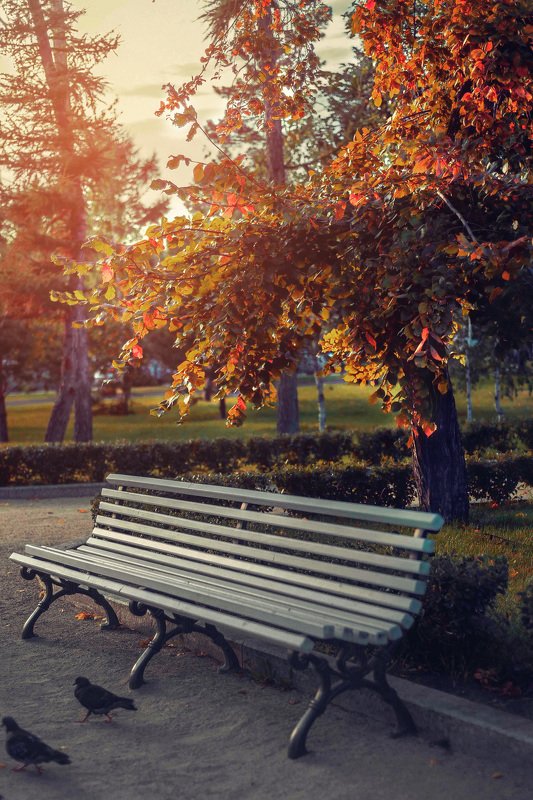 Вот и осень... фото превью