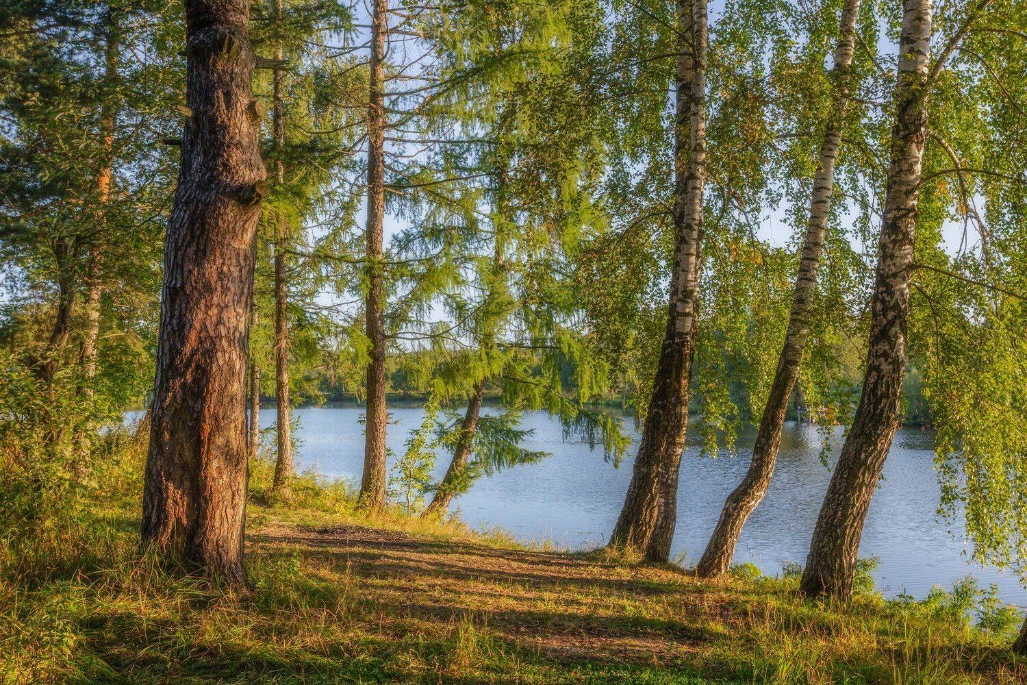природа, пейзаж, утро, рассвет, лес, вода, Мартыненко Дмитрий