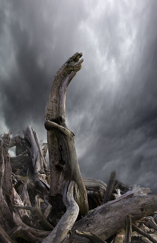 Крик  фото превью