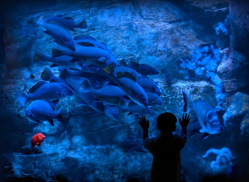 Under water фото превью