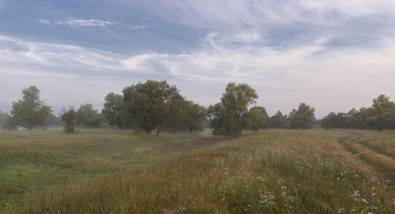 Утро в Окунево фото превью
