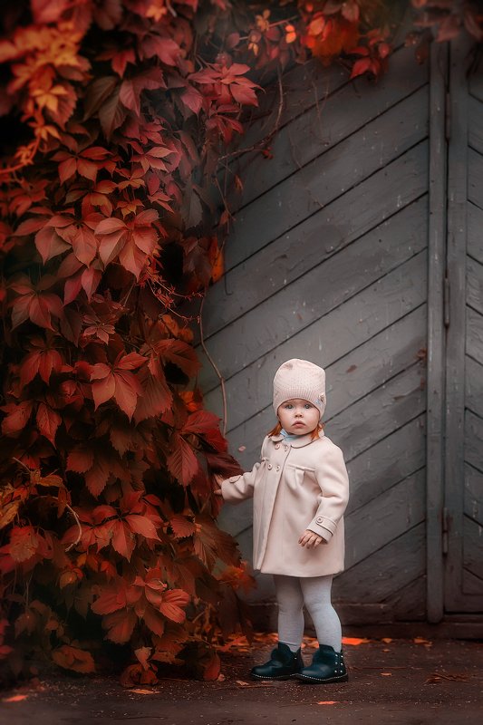 фото превью