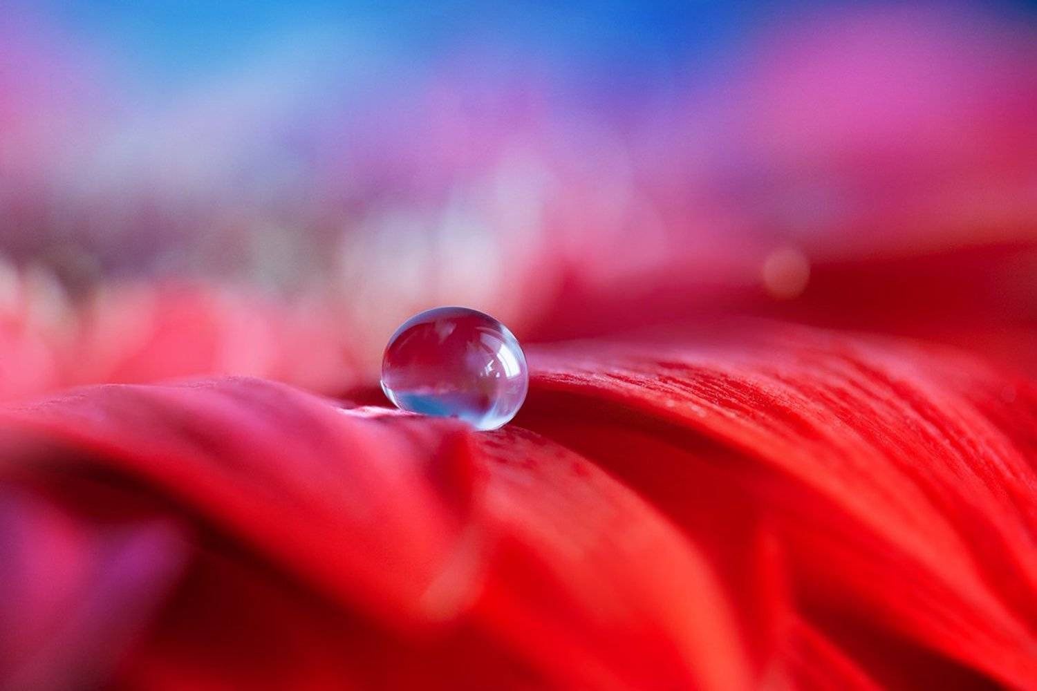 , Кабыжакова Валерия