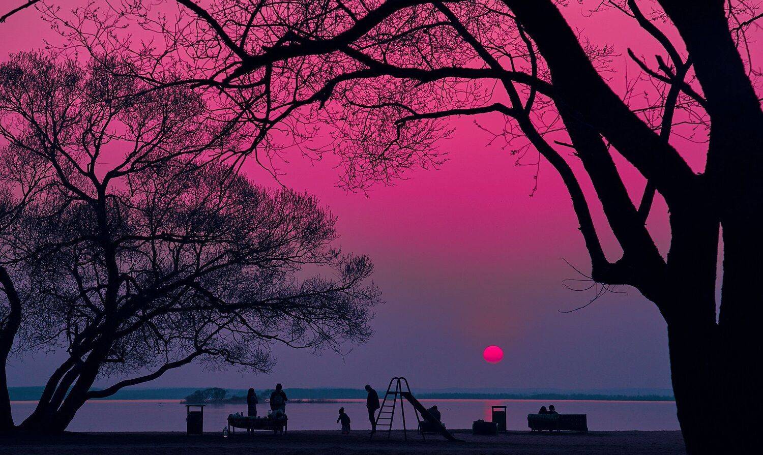 , Александр Фанковин