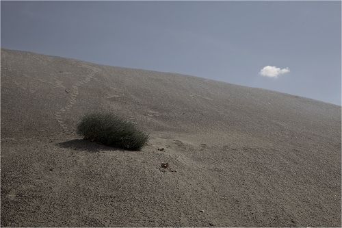 ***