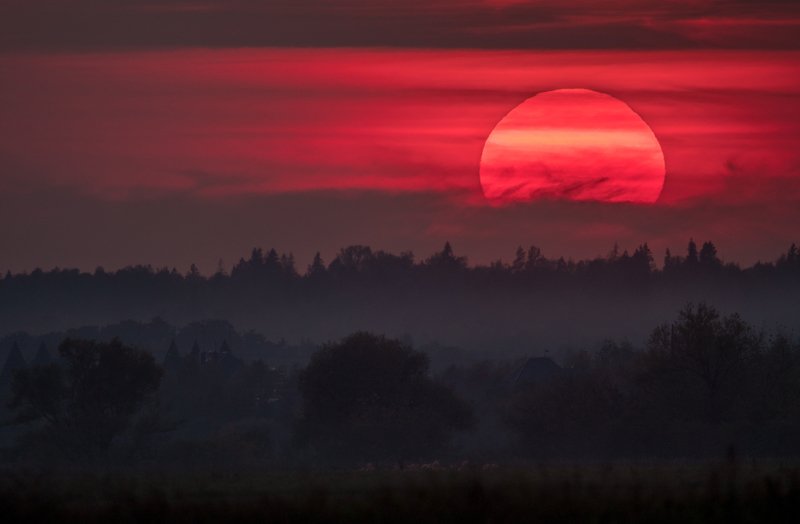 сумерки, закат, солнце, розовое солнце, розовый, московская область, одинцовский район, закат, солнечный вечер, розовый закат, атмосферный закат, sigma 150-600, облака, даль, лес, солнце на 600 мм Погружение в сумерки фото превью