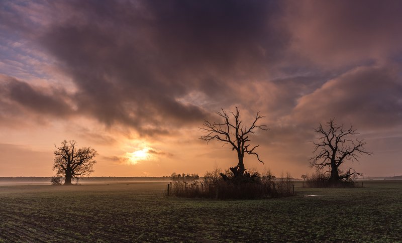 Sunset in Rogalin, Poznan, Poland фото превью