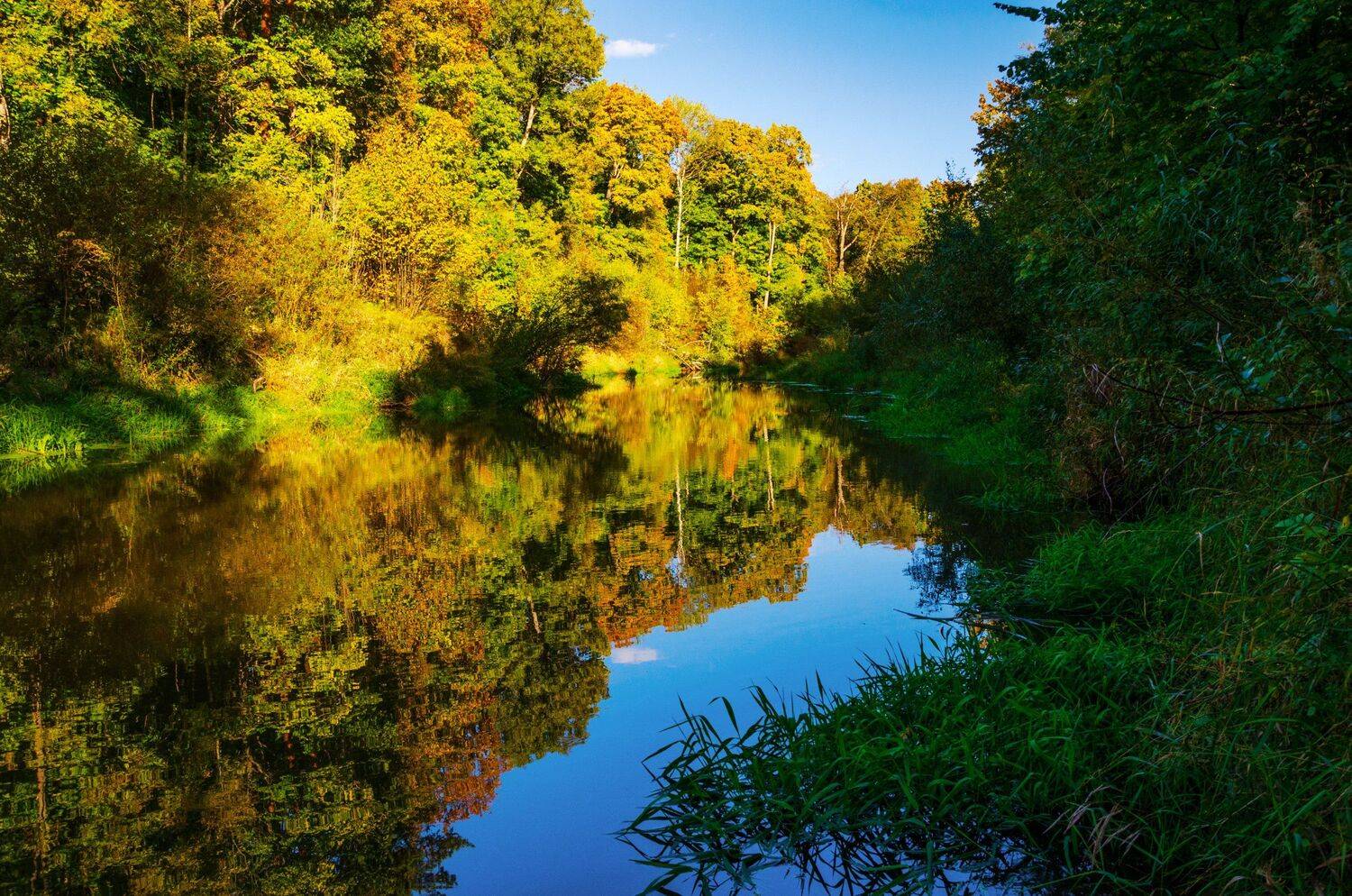 nevant60, пейзаж, красота, природа, Александр Березуцкий