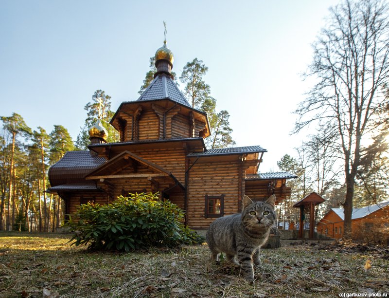 Алексин. Царевиче-Алексиевский храм. фото превью