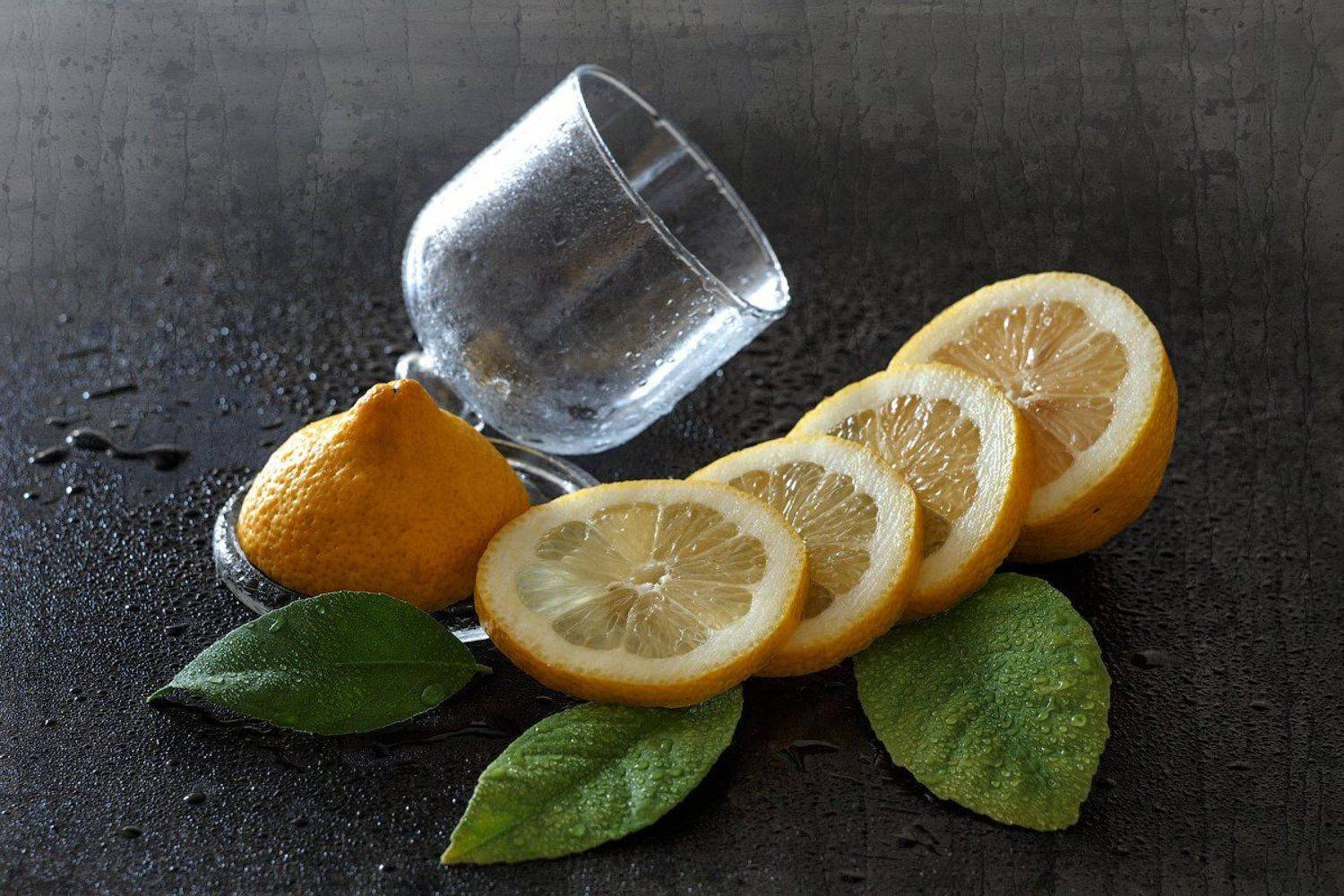 натюрморт лимон фрукт, Михаил Корнилов