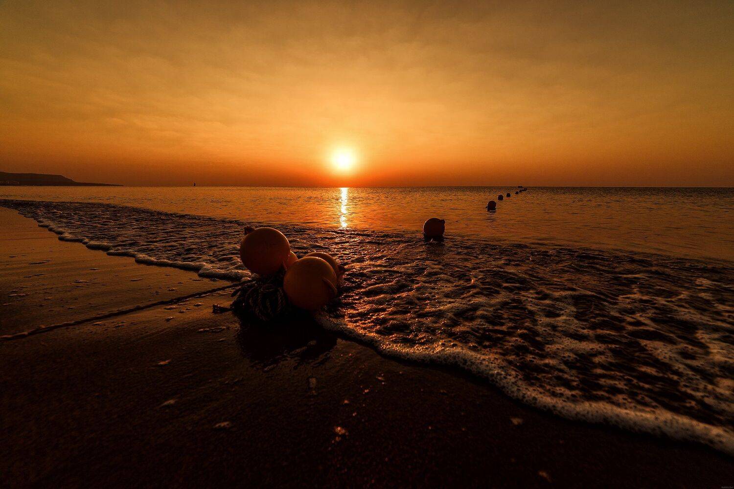 , Рут Андрей