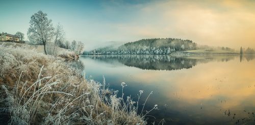 Frosty landscape