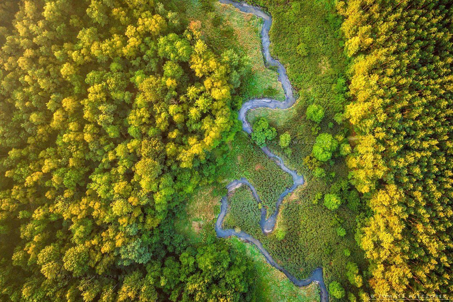 forest, drone, dji, air, poland, polish, landscape, sunrise, sunset, colours, summer, awesome, amazing, adventure, travel, beautiful, morning, river, meandering, Tomasz Wieczorek