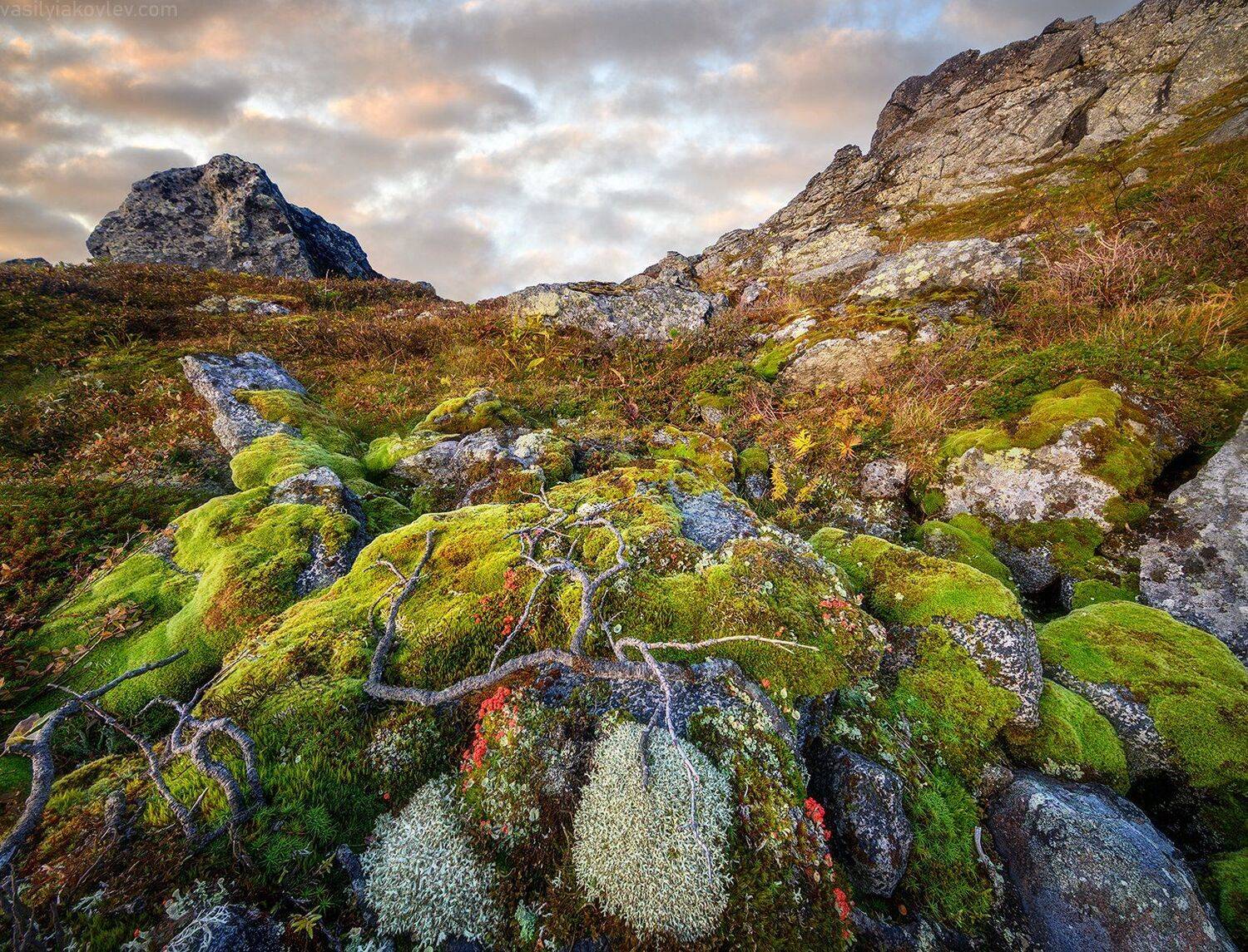 урал, осень, Василий Яковлев