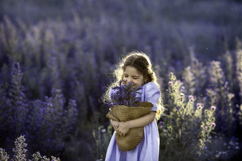 запах лета фото превью