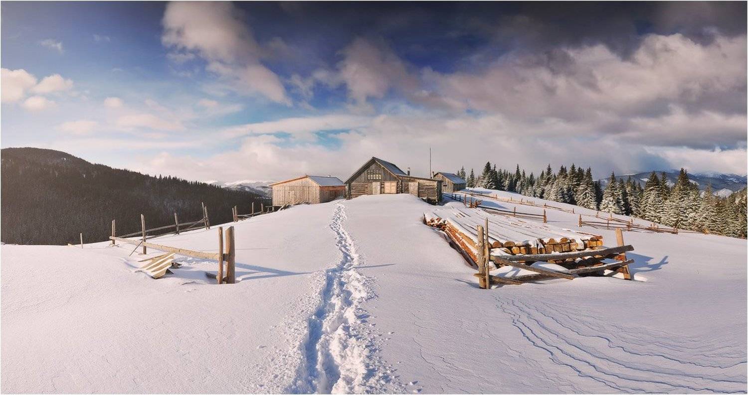 , Денис Кривой