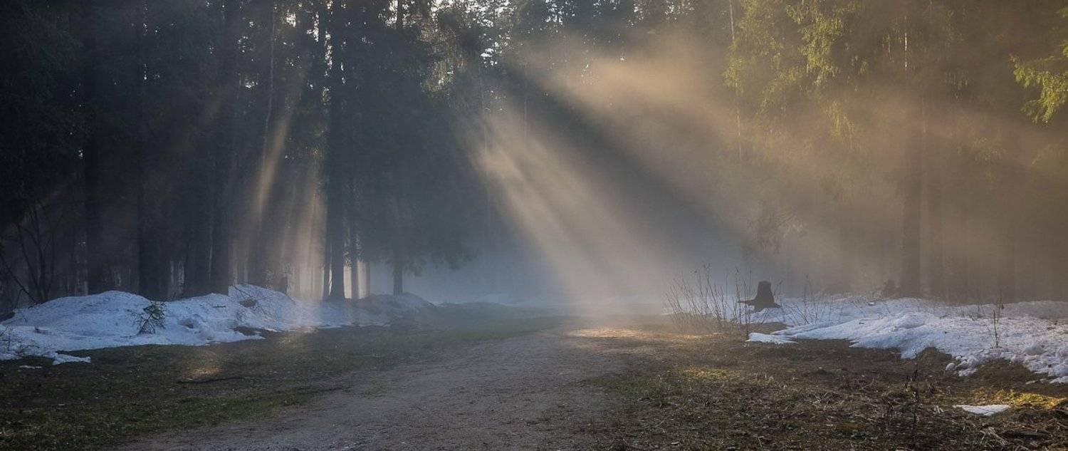 , Света и Вася
