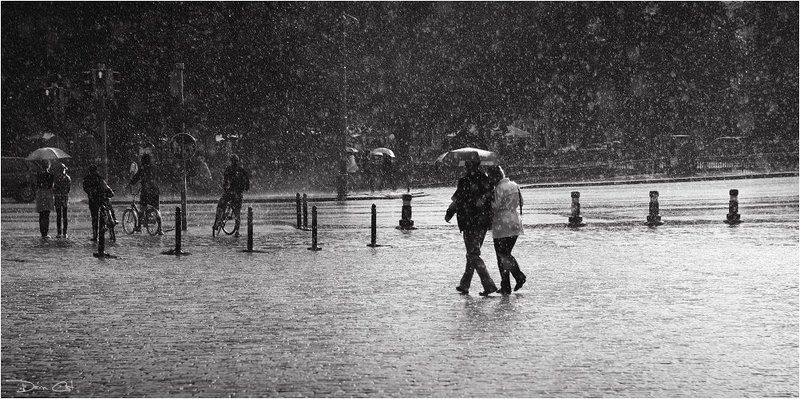 финляндия, летний, дождь, солнце, зонтики, люди Sunny Rain фото превью