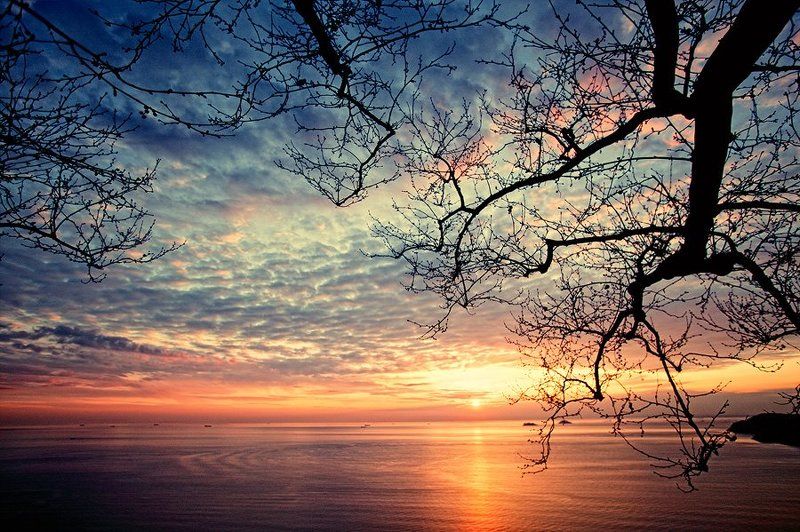 When the Sky is Like Lace фото превью