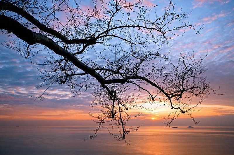 Princess Islands фото превью