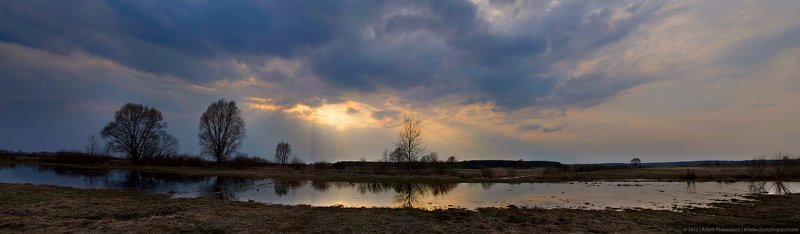 весна, паводок, ипуть Весенний паводок на реке Ипуть фото превью