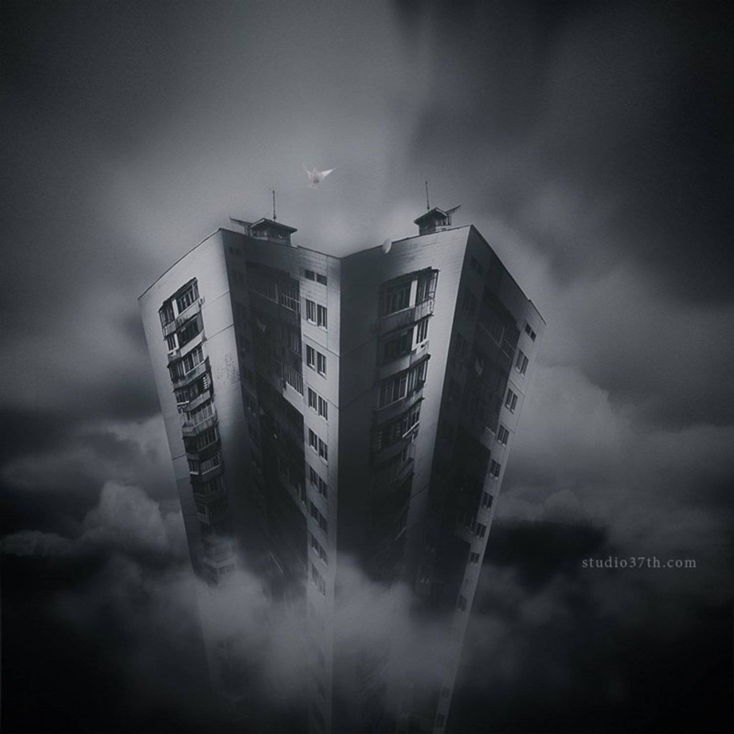 , Alexander Mikhailenko