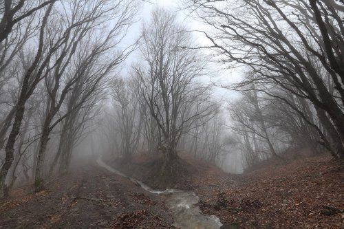 Не веселая весна