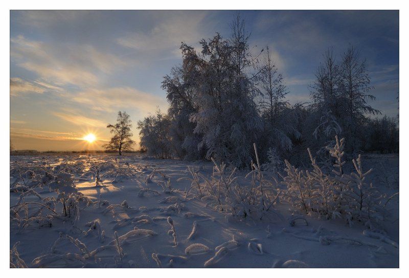 НОВЫЙ ДЕНЬ фото превью