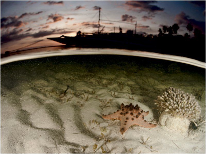 Панглао фото превью