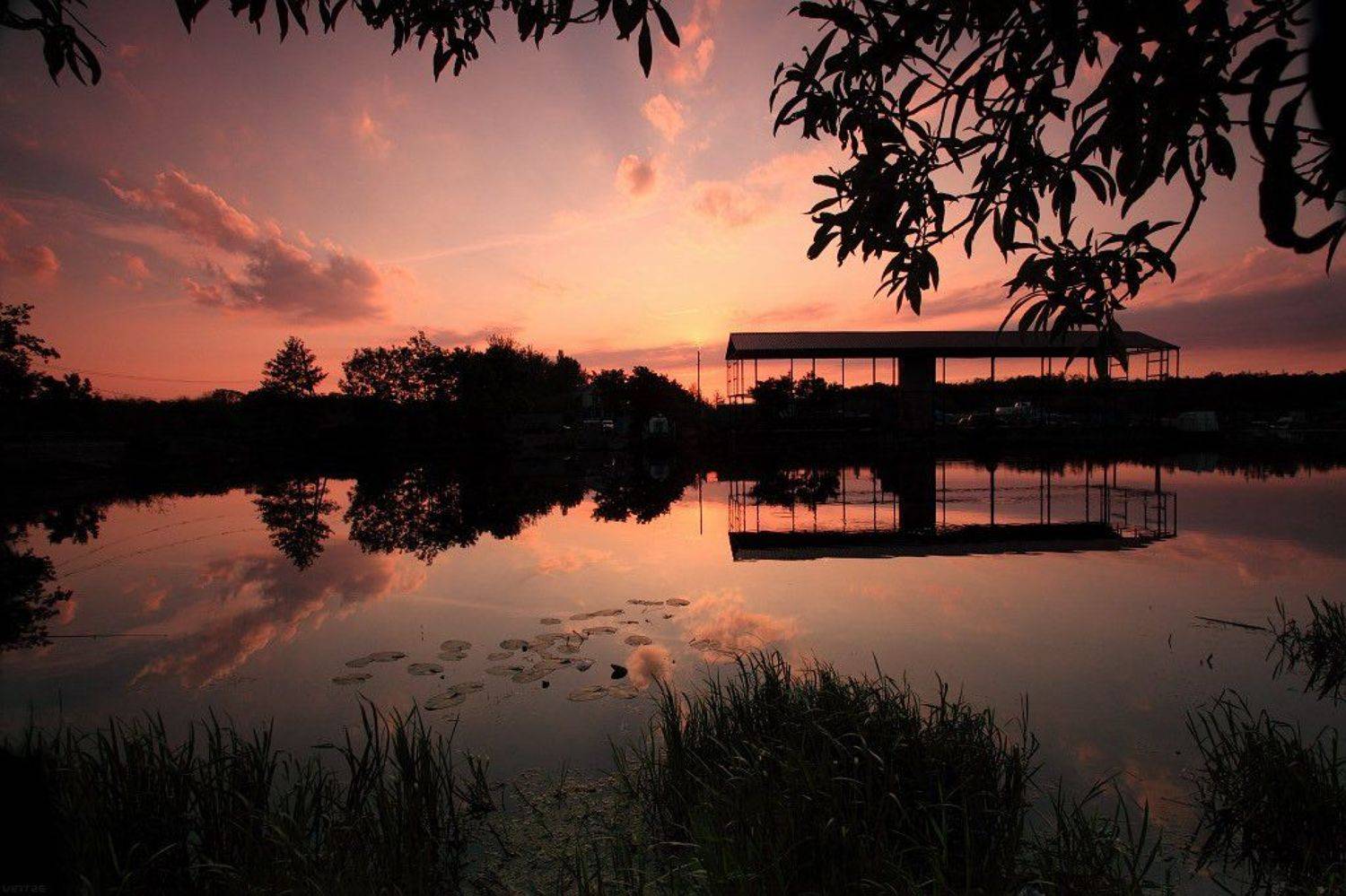 japan, in, kaliningrad, Запороженко Виталий и Юлия