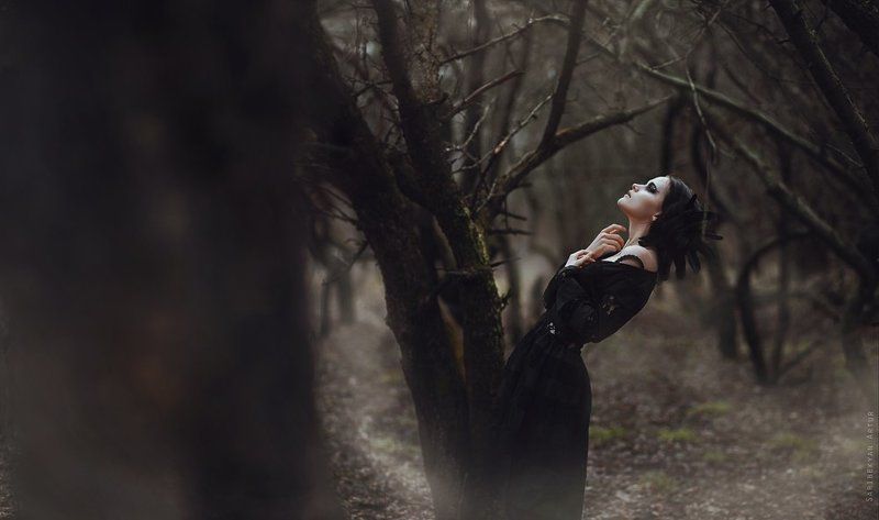 Crow фото превью