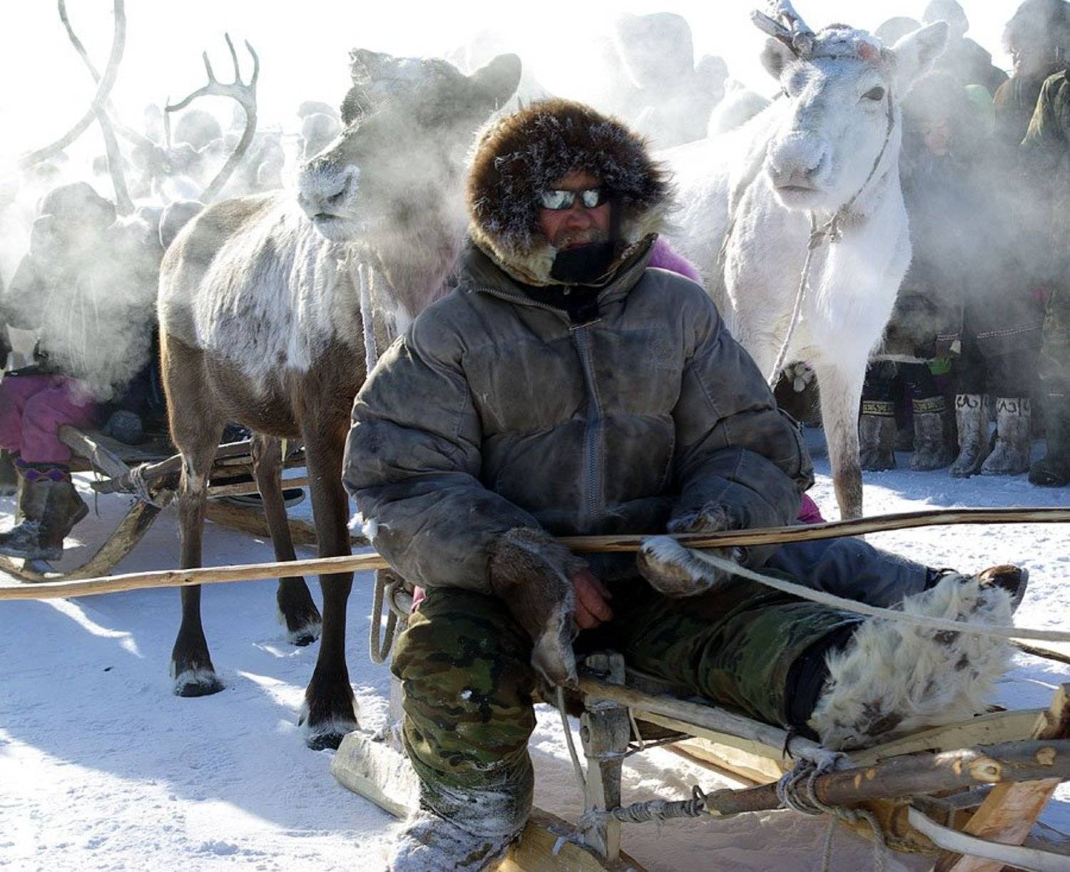 оленевод, олень, север, Солодухин Виктор
