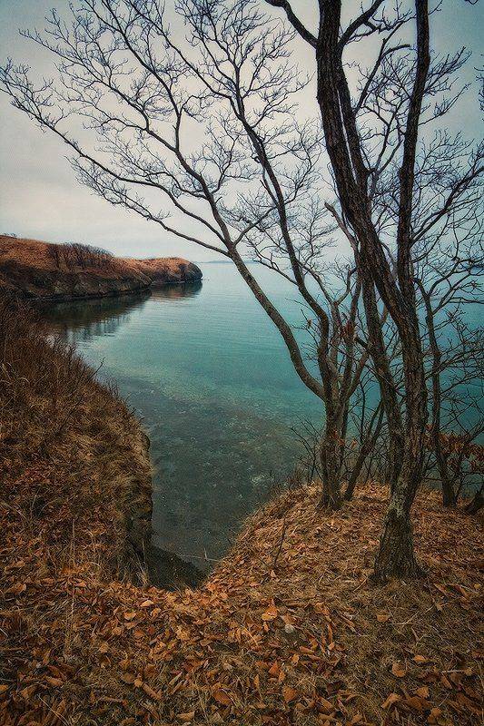 тишина, море, скалы, листва, деревья, Андрей Кровлин