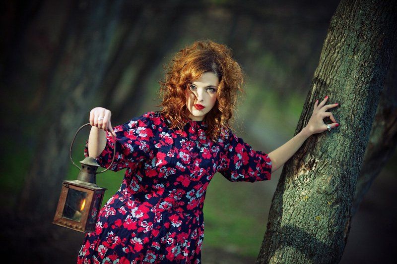 лес Норвежский Лес фото превью